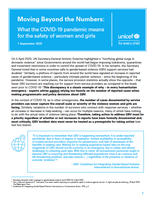Moving Beyond the Numbers- What the COVID-19 pandemic means for the safety of women and girls