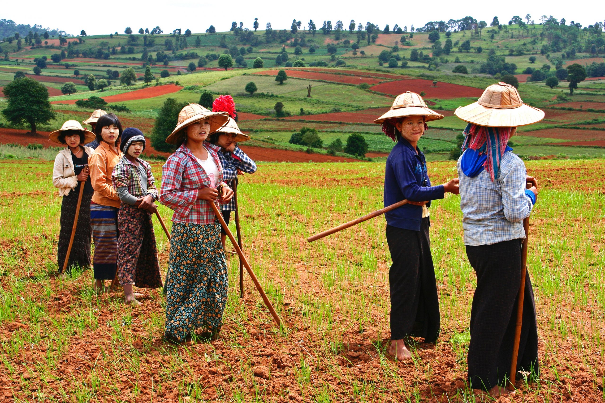 How the COVID-19 pandemic has affected female entrepreneurs in the agricultural sector in South East Asia